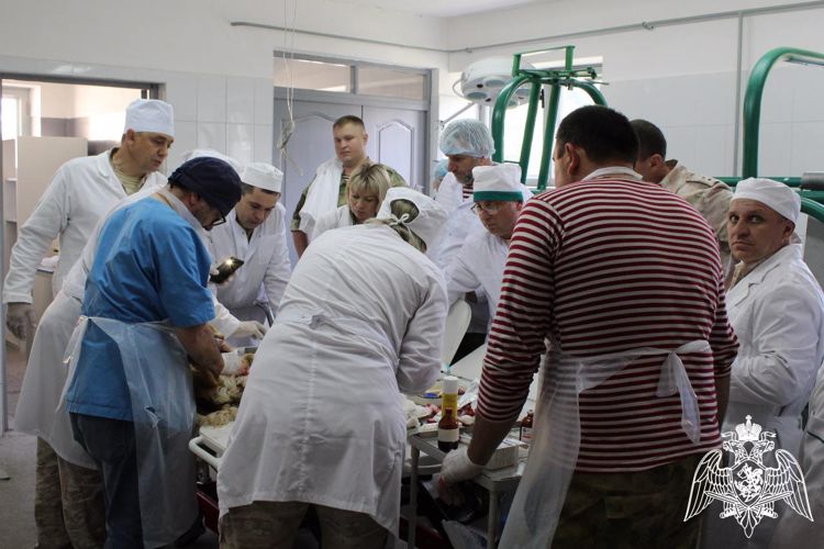 В КАБАРДИНО-БАЛКАРИИ НАЧАЛСЯ УЧЕБНО-МЕТОДИЧЕСКИЙ СБОР СПЕЦИАЛИСТОВ ВЕТЕРИНАРНОЙ СЛУЖБЫ РОСГВАРДИИ                                                                                         