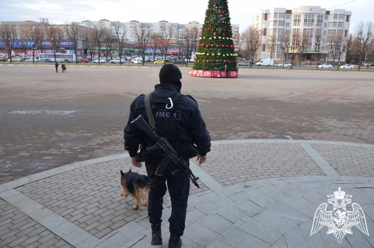 В КАБАРДИНО-БАЛКАРИИ РОСГВАРДИЯ ОБЕСПЕЧИЛА ПРАВОПОРЯДОК В НОВОГОДНЮЮ НОЧЬ