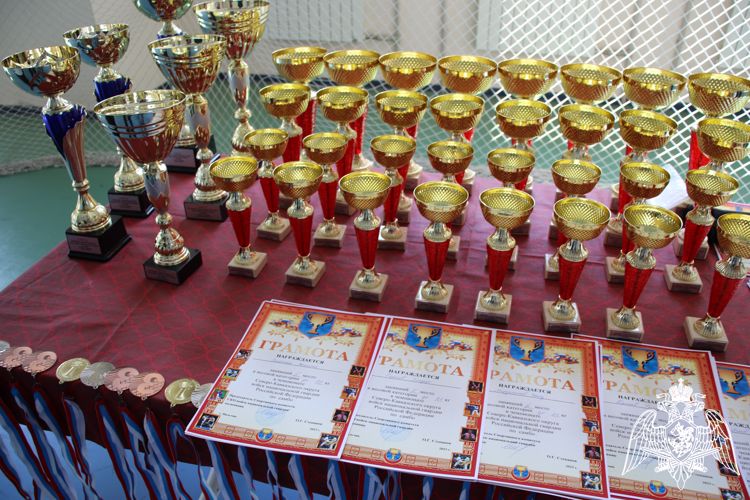 Завершился чемпионат Северо-Кавказского округа Росгвардии по самбо