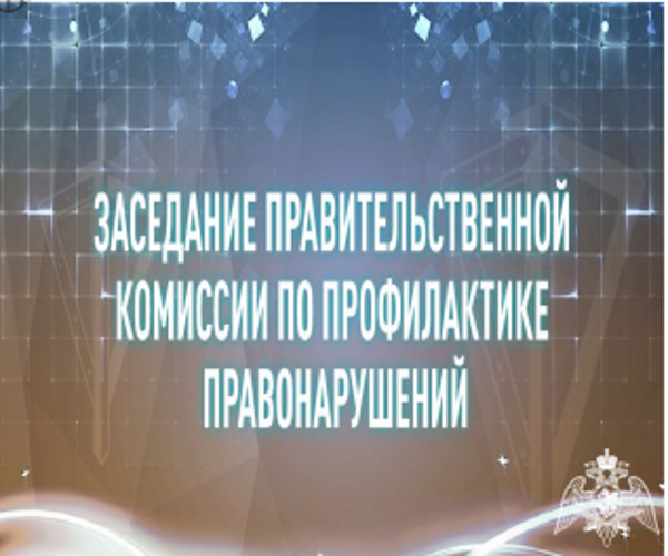 Генерал-полковник полиции Сергей Лебедев принял участие в заседание Правительственной комиссии по профилактике правонарушений