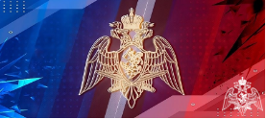 Генерал армии Виктор Золотов принял участие в заседании Военно-промышленной комиссии Российской Федерации