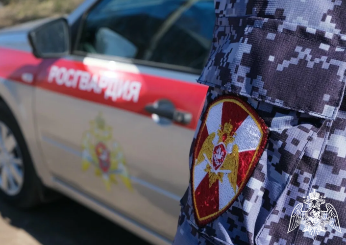 В  КАБАРДИНО-БАЛКАРИИ  РОСГВАРДЕЕЦ  НАШЕЛ ПОТЕРЯВШЕГОСЯ РЕБЕНКА