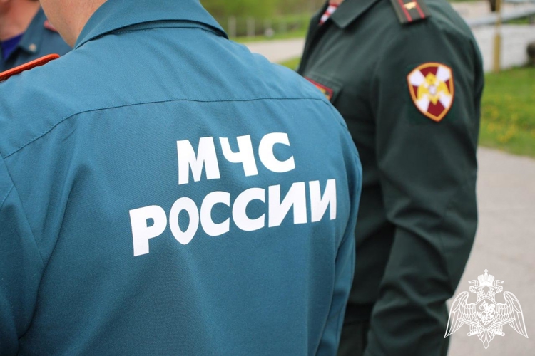 Совместное тактико-пожарное занятие провели в Кабардино-Балкарии Росгвардия и МЧС