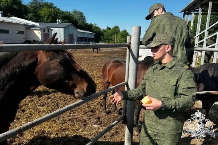 Акция «Один день с Роcгвардией» состоялась в Кабардино-Балкарии
