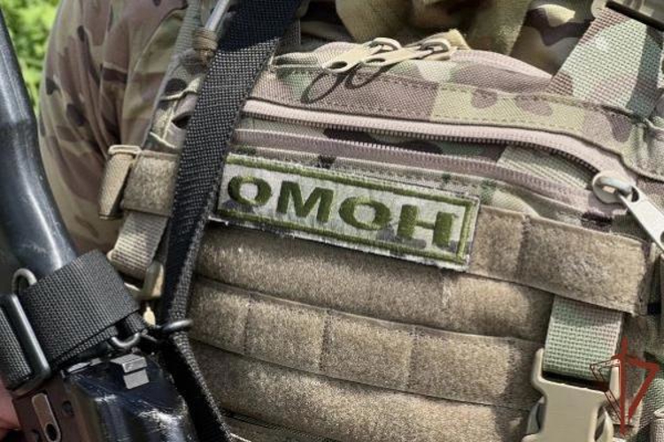 При силовой поддержке Росгвардии в Кабардино-Балкарии задержаны участники террористической ячейки (видео)