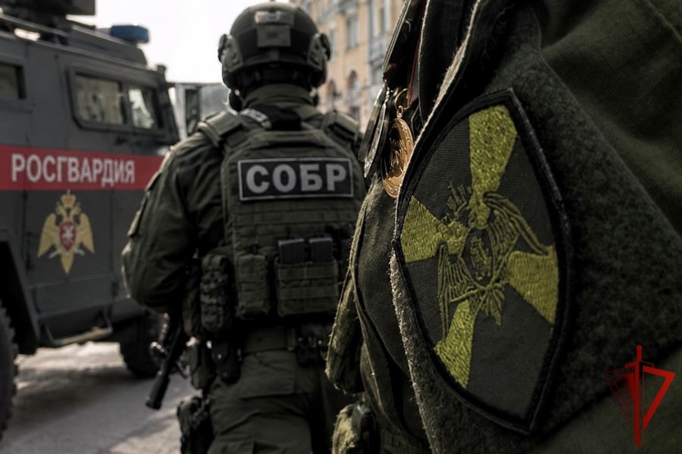 В Кабардино-Балкарии при силовой поддержке Росгвардии пресечены факты незаконного хранения наркотических средств в крупном размере